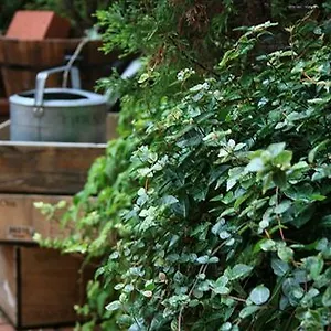 Отель Garden