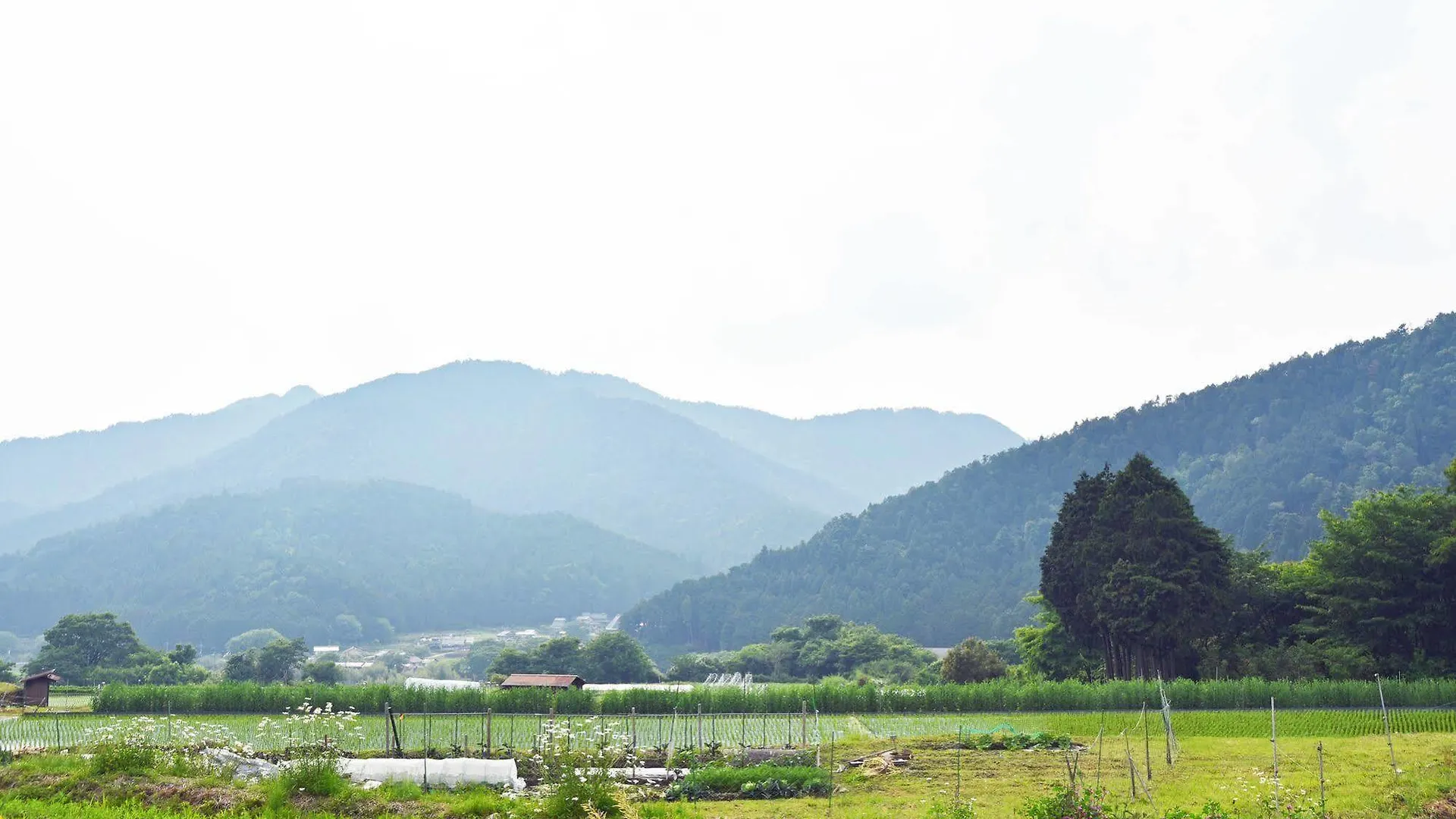 Gyozanen Hotel Kyoto