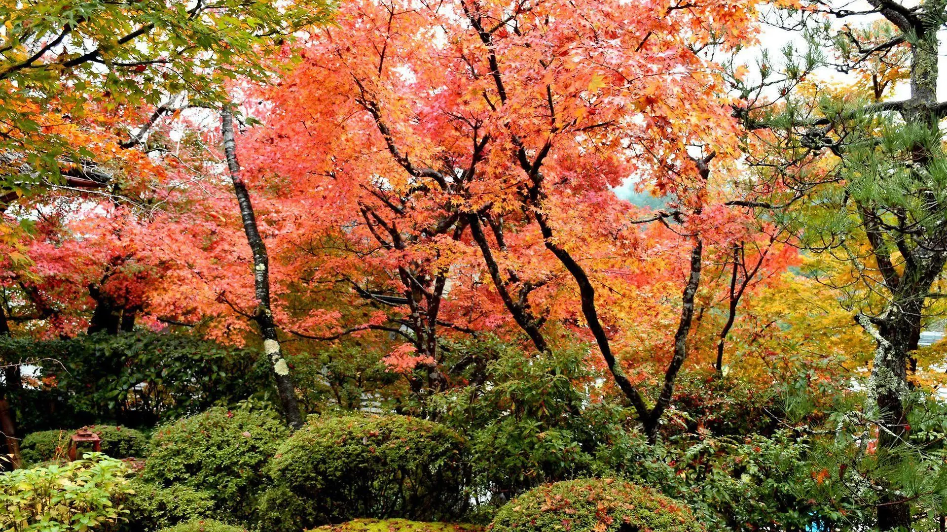 Gyozanen Hotel Kyoto